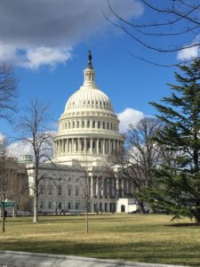 View of the US Capital Building Washington DC